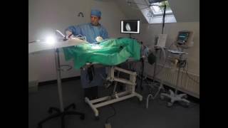 Keyhole spay in under 60s