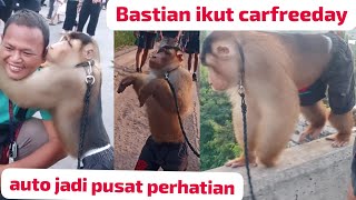 Monyet Beruk Bastian ikut carfreeday di summarecon Bekasi