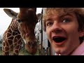 I Worked At A Zoo For A Day