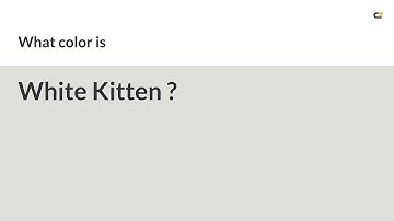 White Kitten color #dfdfdb hex color - Grey color - Cool color dfdfdb