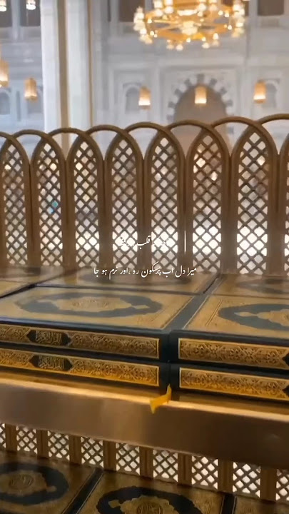 Assalamu Alayka (Arabic)  - السلام عليك | Raqqat Aina Ya Shoqan #viralshort