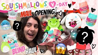 HUGE😱Valentines💗Day SquishMail GIFT🎁OPENING from my Friend/Subscriber! BLIND❓OPENING & DISO✨Haul!