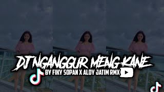 DJ NGANGGUR MENG KANE BY [FIKY SOPAN X ALDY JATIM RMX]