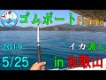 ２馬力ゴムボートでイカ餌のふかせ釣り　in和歌山 中紀（５月）