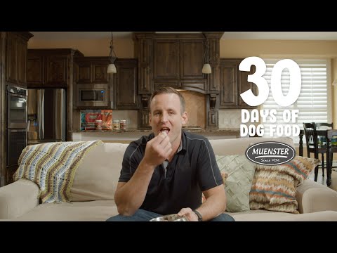 30 Days of Dog Food with Mitch | Week 1 Recap | Muenster