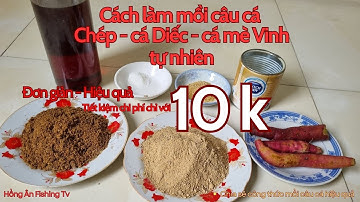 Cách làm mồi câu cá chép, cá diếc, cá mè vinh tự nhiên hiệu quả nhất - Hồng Ân Fishing Tv