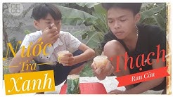 Rùa TV/ Thử Làm Thạch Rau Câu Bằng Nước Trà Xanh 0°- Và Cái Kết Hài Hước