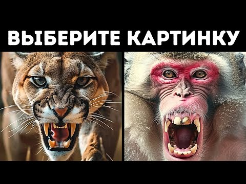 Викторина о том, какой вы путешественник спланируйте свой идеальный отпуск