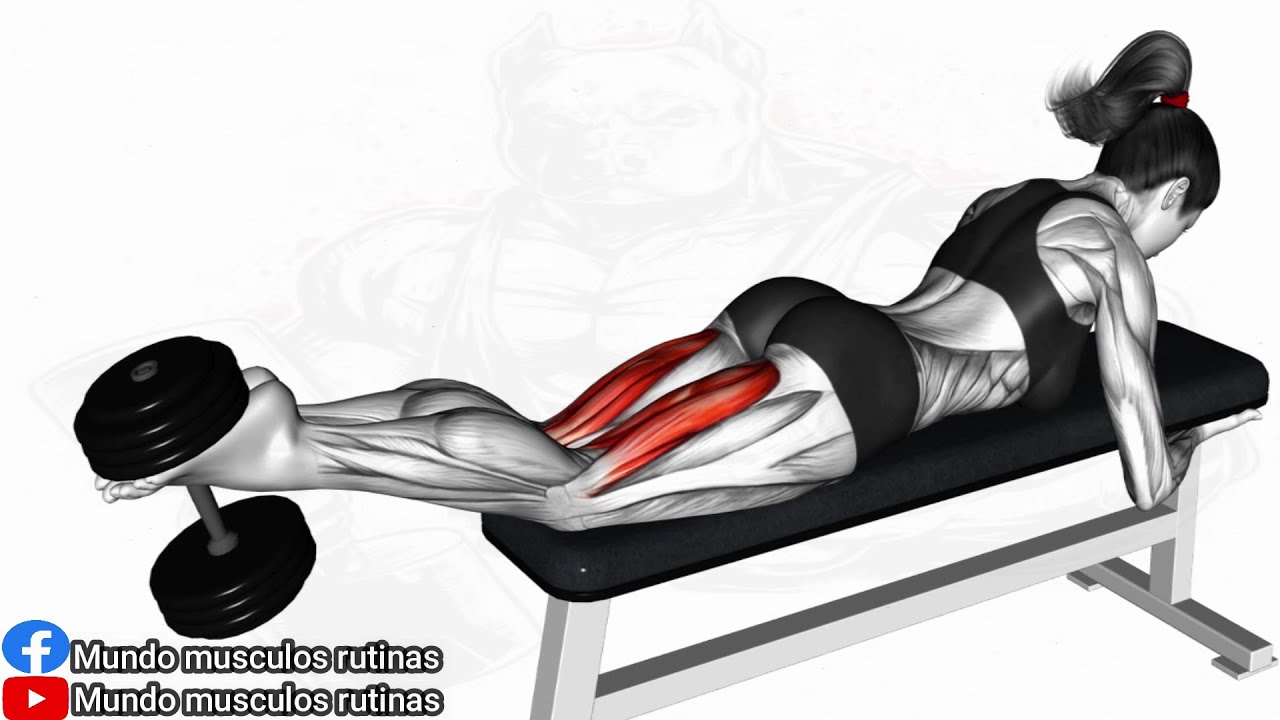 Best Leg Exercises Glute Workout (Effective Exercises!) - YouTube