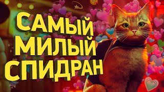 Как пройти Stray быстрее всех | Разбор спидрана