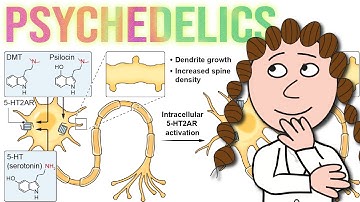 Psychedelics: a trip from mechanism to therapeutic potential?