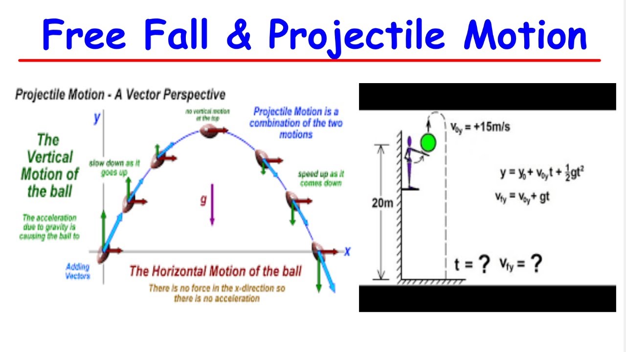 Linear motion,Free Fall motin and projectile motion Past papers YouTube