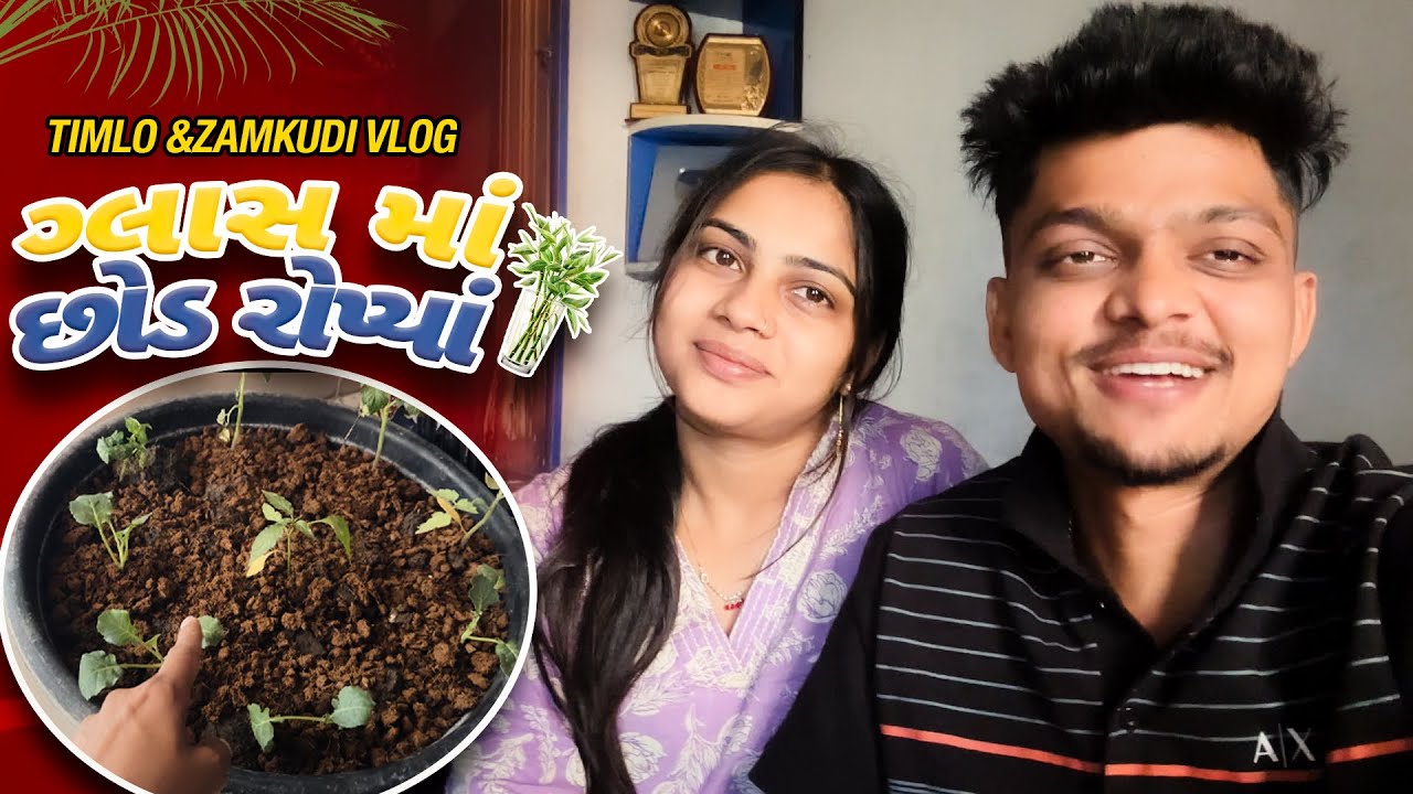  Zamkudi Planted a Tree in a Glass! 😲🌱 || Timlo Zamkudi Vlog 