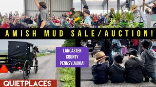 AMISH MUD SALE & AUCTION! Lancaster County! Weaverland Valley, PA!