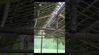 Building a Roof Step by Step | Hard Work & Dedication#construction #roofconstruction #building