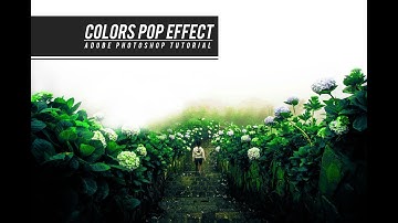 Colors Pop Effect  | Adobe Photoshop Tutorial