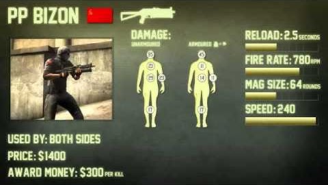CS GO Bizon Weapon Guide Counter Strike  Global Offensive)