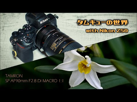 Nikon用 TAMRON SP Di AF 90mm f2.8Macro1:1