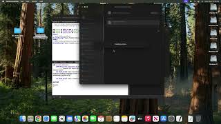 Install Disable Gatekeeper Sequoia