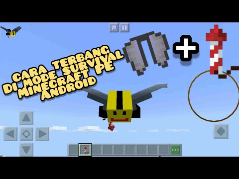 Video: Cara Terbang Di Minecraft Di Elytra