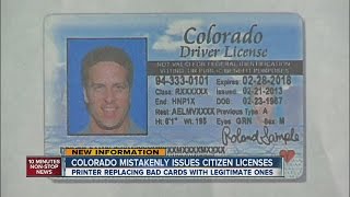 Glitch invalidates immigrant driver's licenses