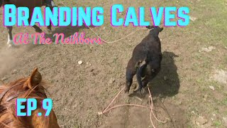 Branding Fall Calves in the Spring: Branding Calves Ep.9