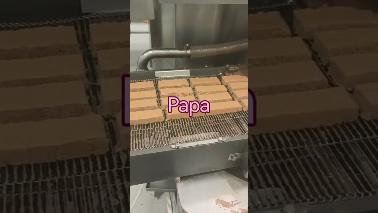 Papa Automatic P320 Peanut Brittle Granola Bar Cutting Machine with bar separating system