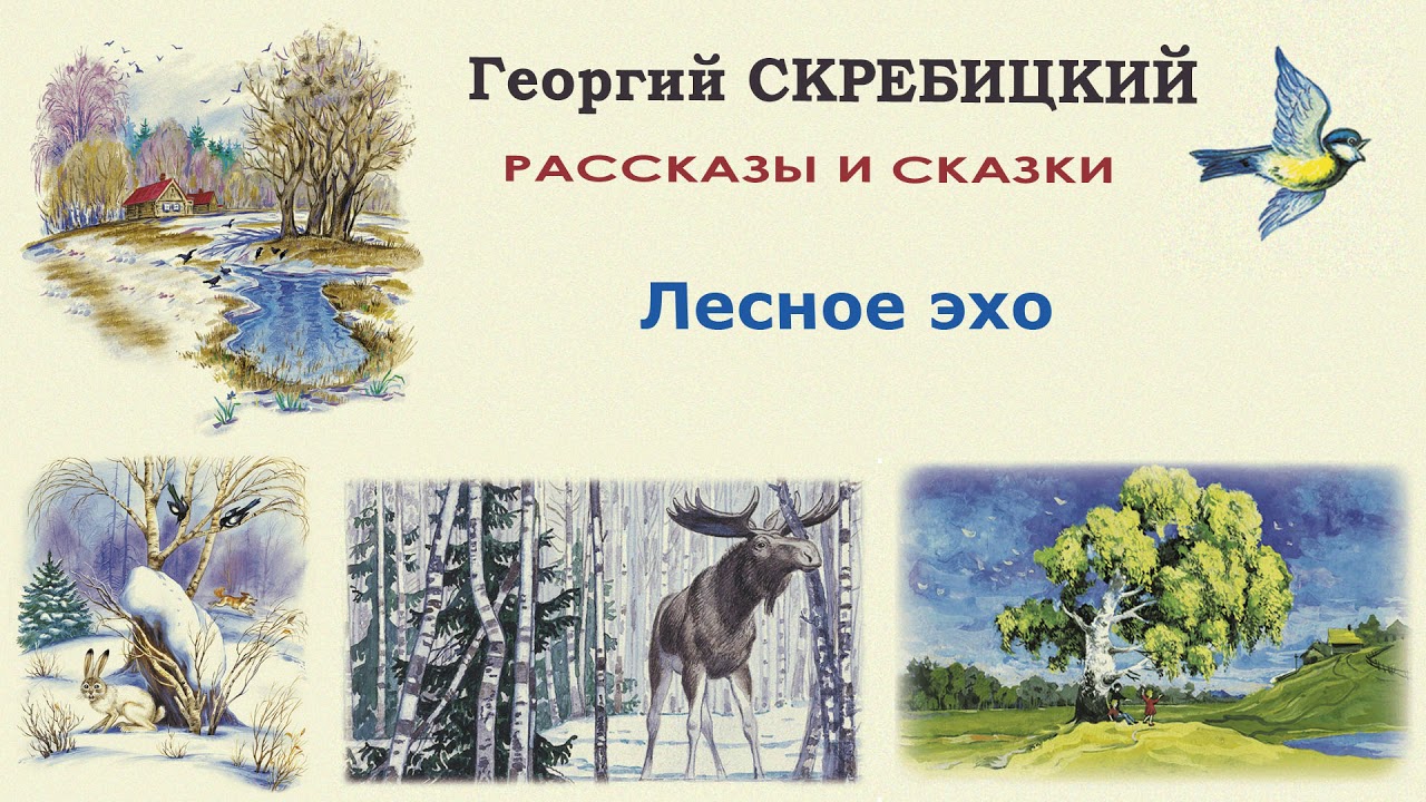 Георгий Скребицкий "Лесное эхо" - Слушать - YouTube