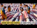 Những Vụ Thu Hoạch Đại Dương ‘Hoành Tráng’ Nhất Thế Giới Mà Bạn Không Thể Tin Nổi