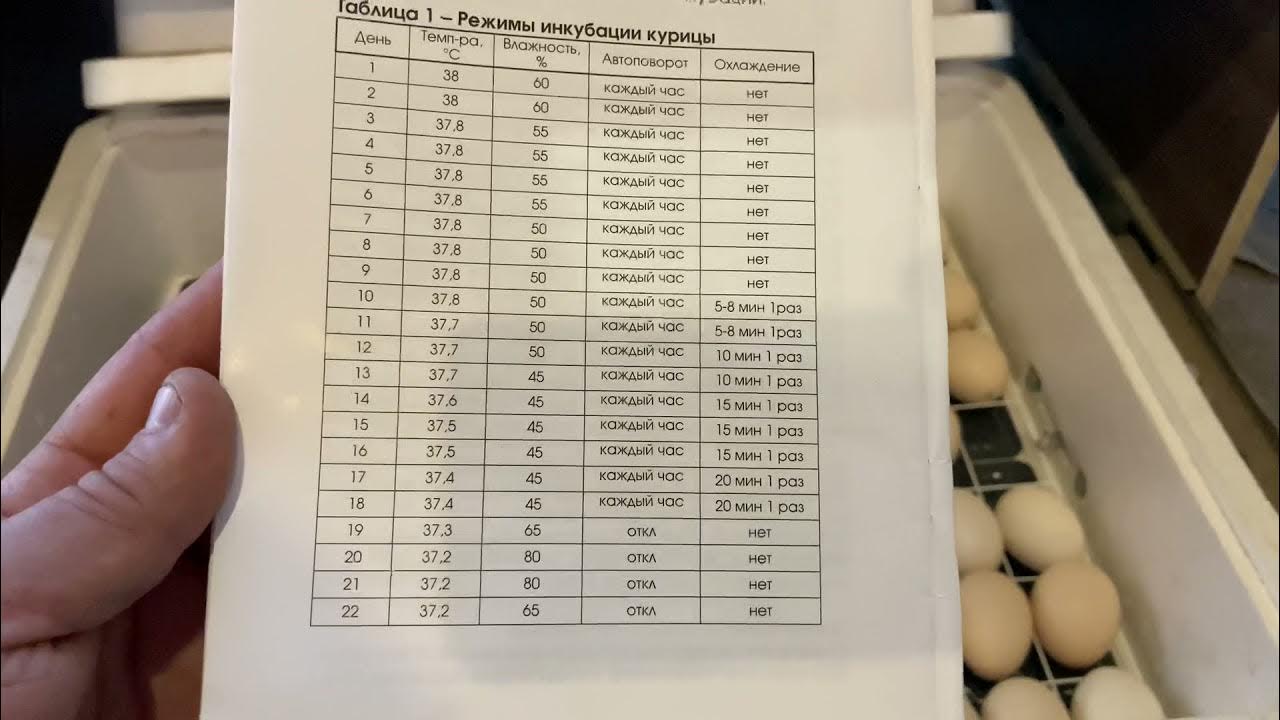 Инкубатор блиц 72 таблица. Инкубационный режим куриных яиц. Таблица инкубации куриных яиц в инкубаторе Несушка. Таблица инкубации инкубатор ovo. Инкубатор Несушка таблица.