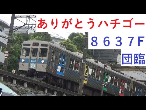 【#ありがとうハチゴー】東急8500系8637F、団体臨時列車【Bunkamura号】
