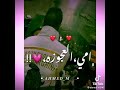 عصام صاصا،نزل ايديك ياشويش: