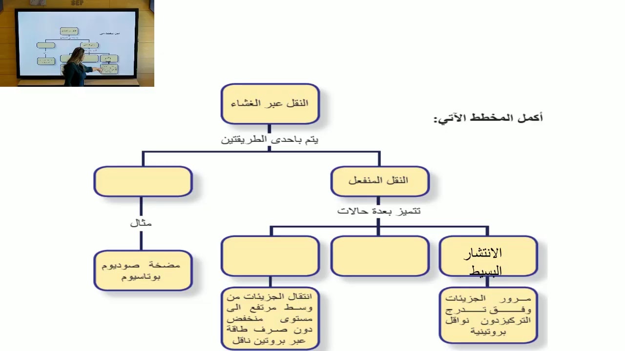 Первый год средней школы — Естествознание — Клетка