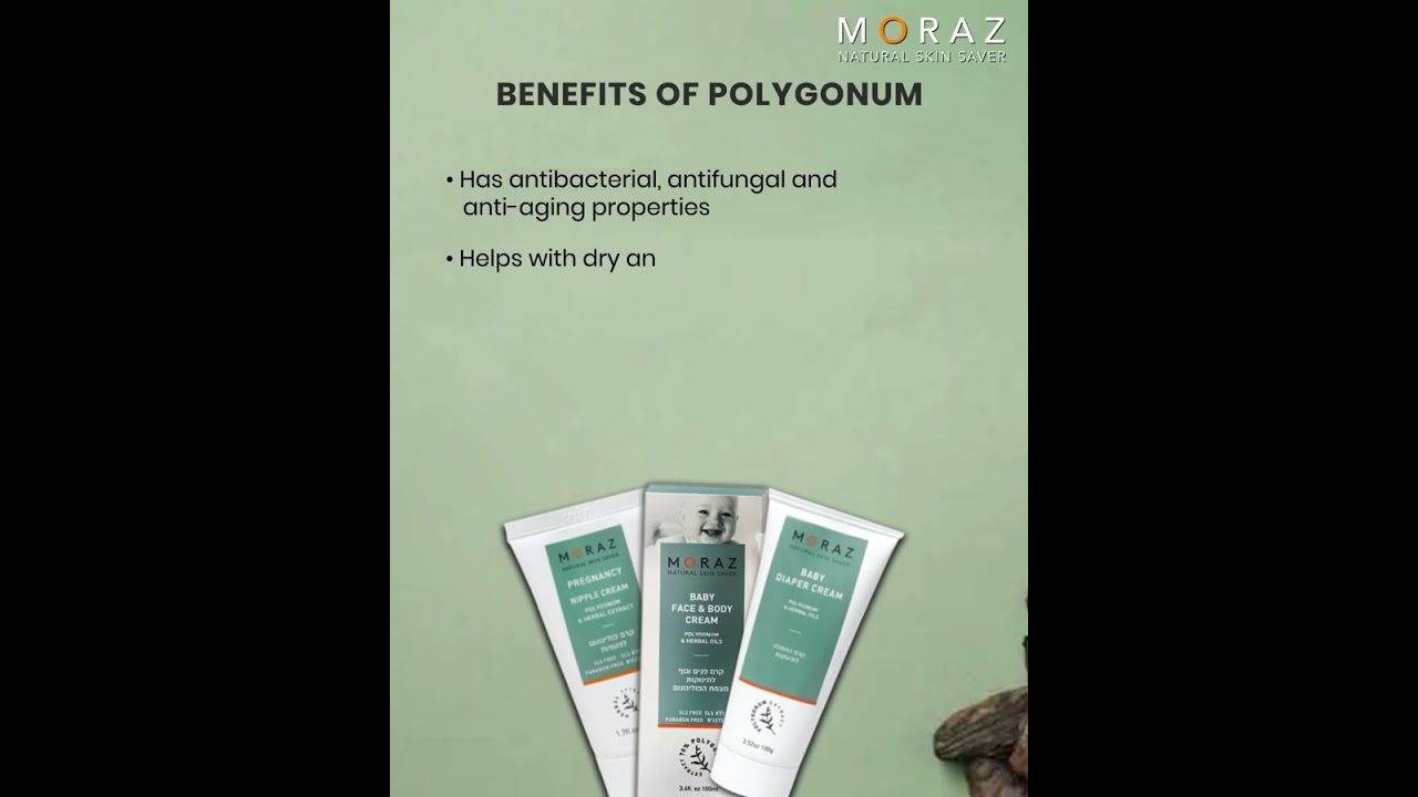 Polygonum is the key ingredient in Moraz