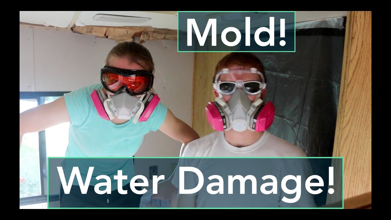 What are some tips for removing mold from an RV?