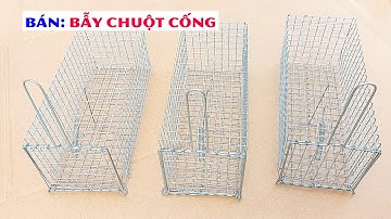Bán Lồng Bẫy Chuột Cống Nhum mẫu tiêu chuẩn giao hàng toàn quốc