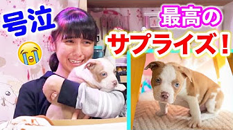 Hqdefault Jpg Sqp Oaymwexcnacelwbsfryq4qpawkiaruaaihcgae Rs Aon4cldoqwdmfhrzvun 1 F Xqesekp8lq Hqdefault Jpg Sqp Oaymwexcnacelwbsfryq4qpawkiaruaaihcgae Rs Aon4cldoqwdmfhrzvun 1 F Xqesekp8lq