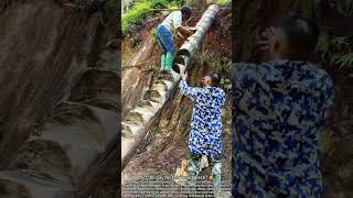 Carving Log Ladder: Zero Cost Mountain Climb!
