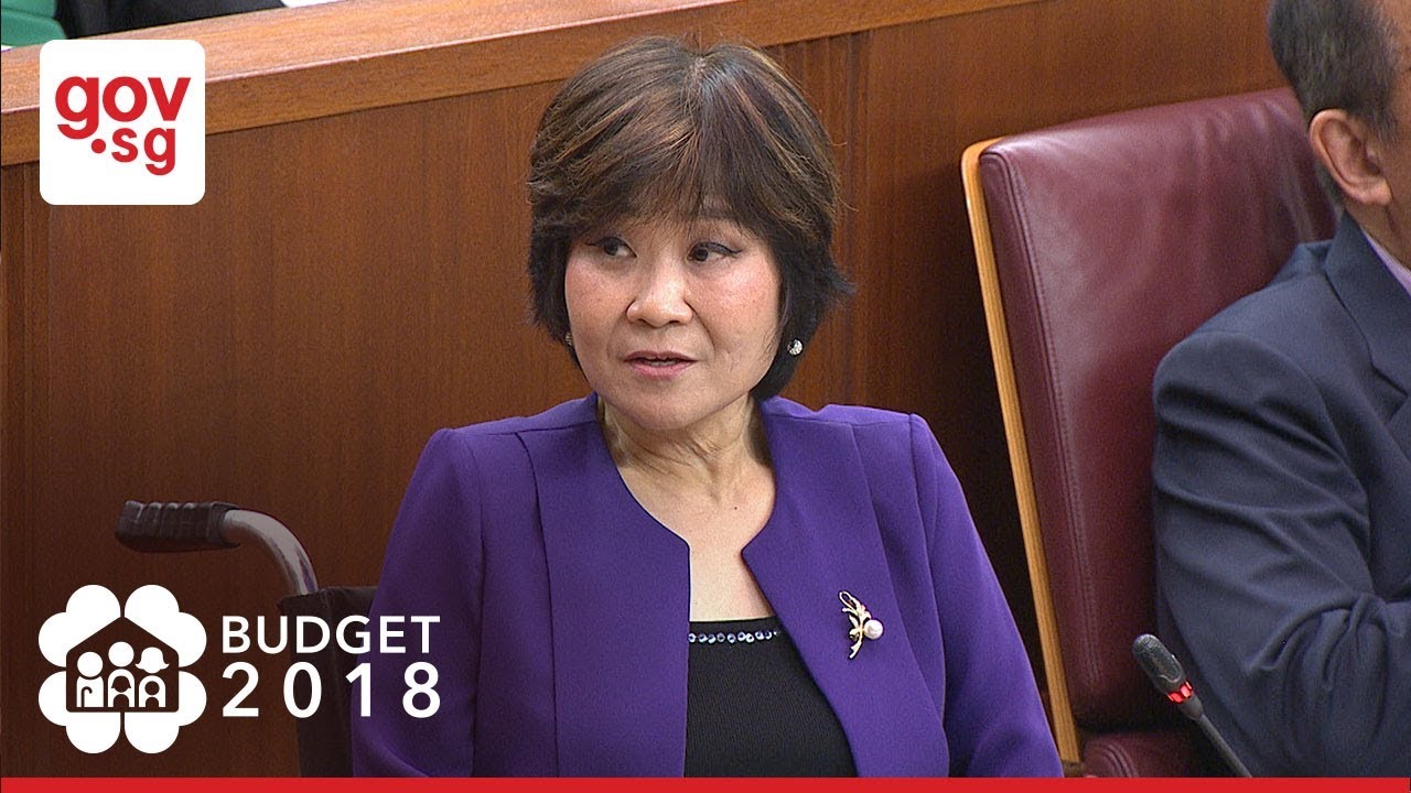 NMP Chia Yong Yong on Budget 2018 singapore tourist pass