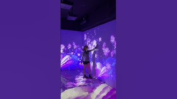Digital Art Installation Projection Mapping Museum Exhibition immersive projector Wall Projection