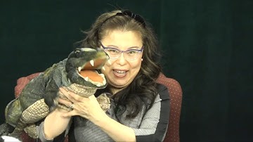 Champion Chinese with Pei-Pei: "Introduction to the Chinese Language 3"