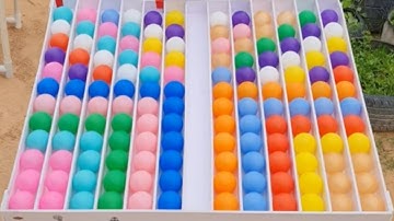 The Neuroscience of Sorting: How Puzzles Challenge Your Brain color sort challenge training brain IQ