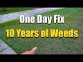 How to Fix an Ugly Lawn - Killing Lawn Weeds