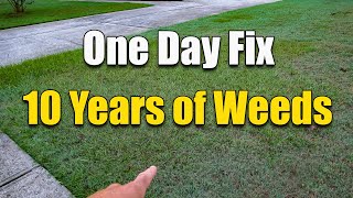 How to Fix an Ugly Lawn  Killing Lawn Weeds