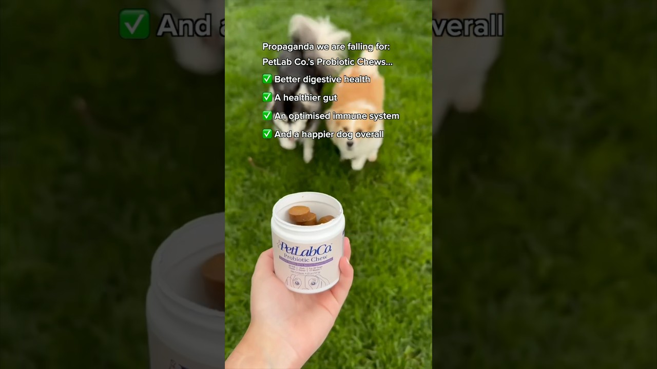 Daily Probiotics: The Only Propaganda We’re Falling For