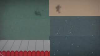 Willow x rash (MAYBE)