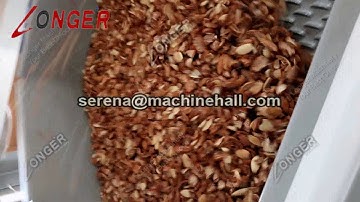 Moroccan Nuts Shell and Kernel Separating Machine|Olives Seeds Separator