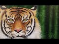 Learn how to paint a TIGER Step by Step Realistic Acrylic Painting Tutorial LIVE