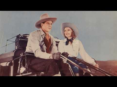 GUN PACKER