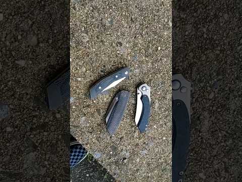 What are you carrying today?